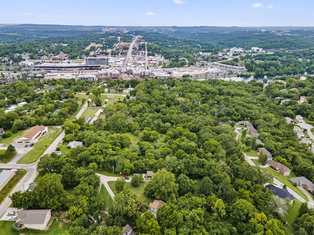 285 Mount Branson Dr, Branson, MO 65616 - photo 9