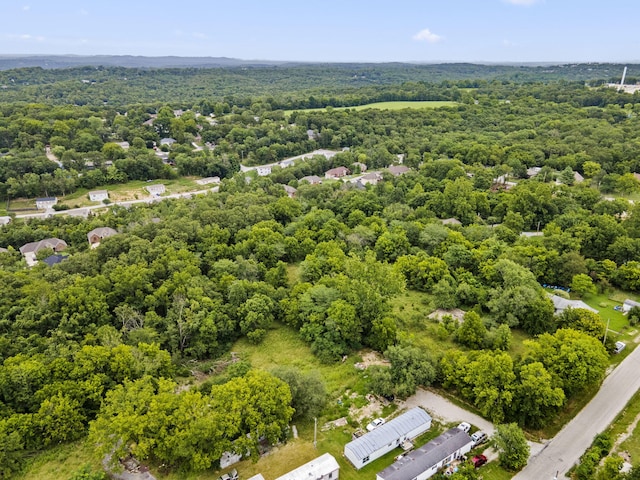 285 Mount Branson Dr, Branson, MO 65616 - photo 5