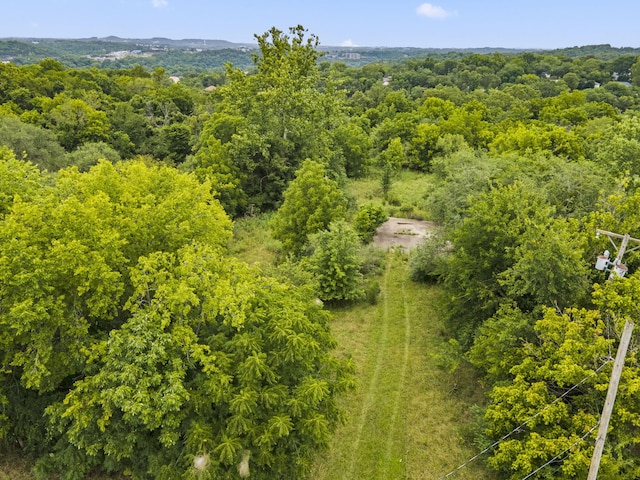 285 Mount Branson Dr, Branson, MO 65616 - photo 2