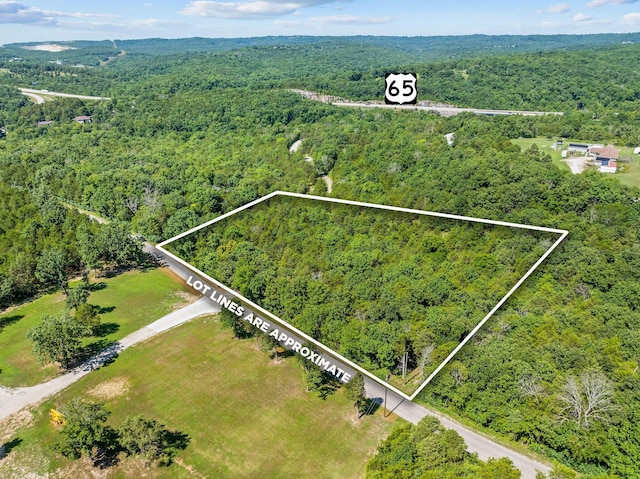 000 Newport Rd, Walnut Shade, MO 65771 - photo 2