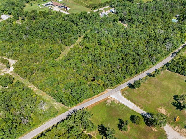 000 Newport Rd, Walnut Shade, MO 65771 - photo 3