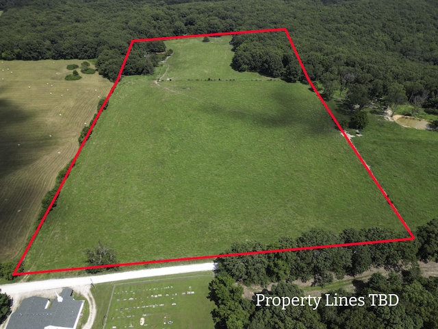 000 Coon Creek Rd, Hartville, MO 65667 - photo 3