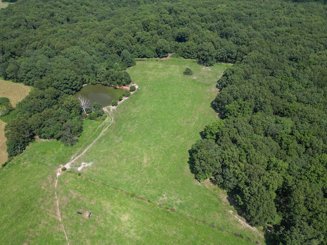 000 Coon Creek Rd, Hartville, MO 65667 - photo 1