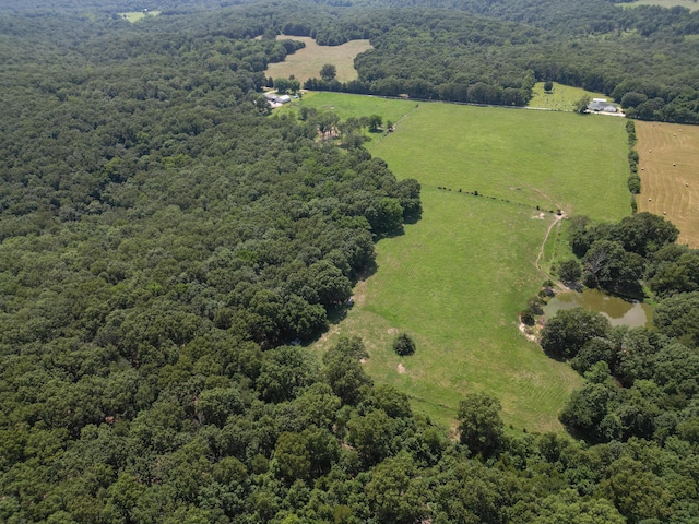 000 Coon Creek Rd, Hartville, MO 65667 - photo 7