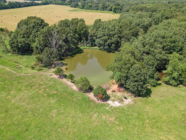000 Coon Creek Rd, Hartville, MO 65667 - photo 9