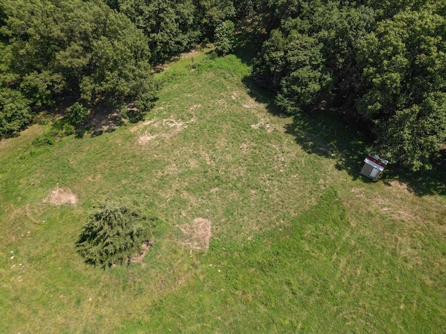 000 Coon Creek Rd, Hartville, MO 65667 - photo 8