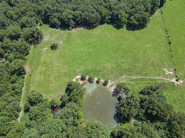 000 Coon Creek Rd, Hartville, MO 65667 - photo 4