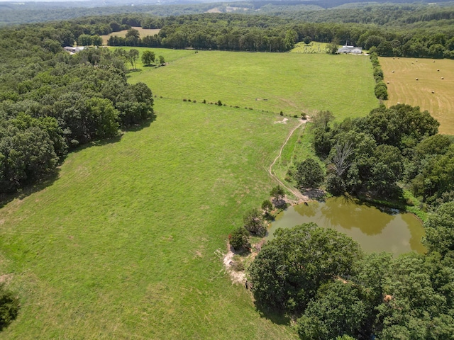 000 Coon Creek Rd, Hartville, MO 65667 - photo 10