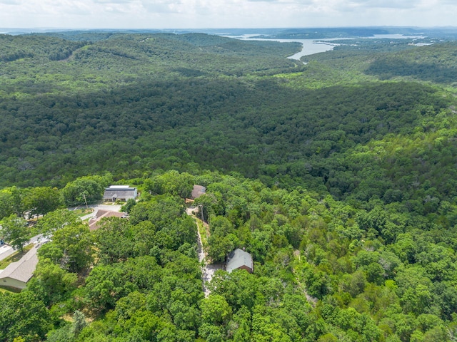 194 Rollin C Ln, Branson West, MO 65737 - photo 63