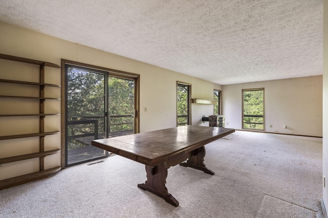 194 Rollin C Ln, Branson West, MO 65737 - photo 20