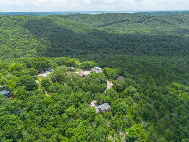 194 Rollin C Ln, Branson West, MO 65737 - photo 64