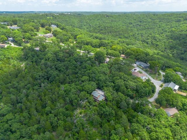 194 Rollin C Ln, Branson West, MO 65737 - photo 65
