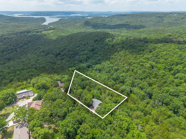 194 Rollin C Ln, Branson West, MO 65737 - photo 62