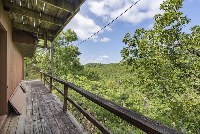 194 Rollin C Ln, Branson West, MO 65737 - photo 52