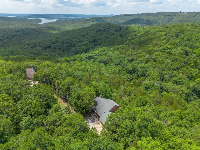194 Rollin C Ln, Branson West, MO 65737 - photo 60