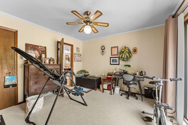624 Parnell Cir, Branson, MO 65616 - photo 26