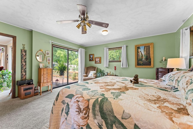 624 Parnell Cir, Branson, MO 65616 - photo 21