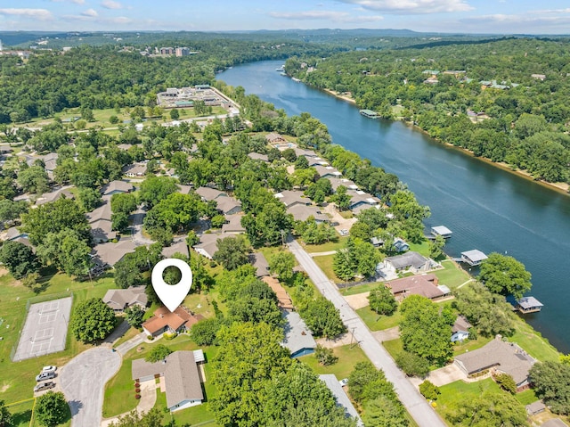 624 Parnell Cir, Branson, MO 65616 - photo 41