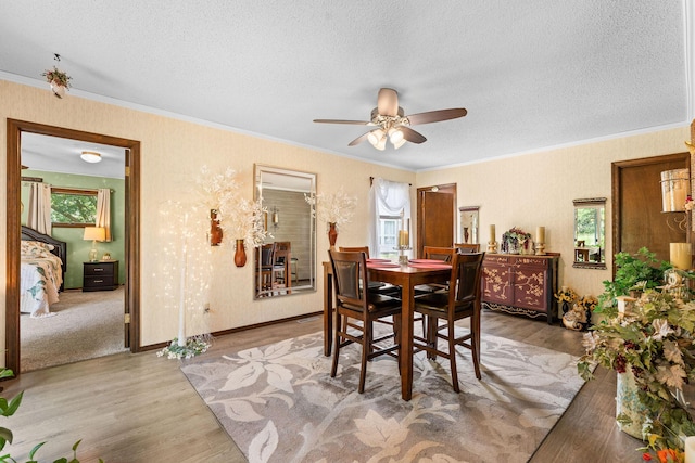 624 Parnell Cir, Branson, MO 65616 - photo 15