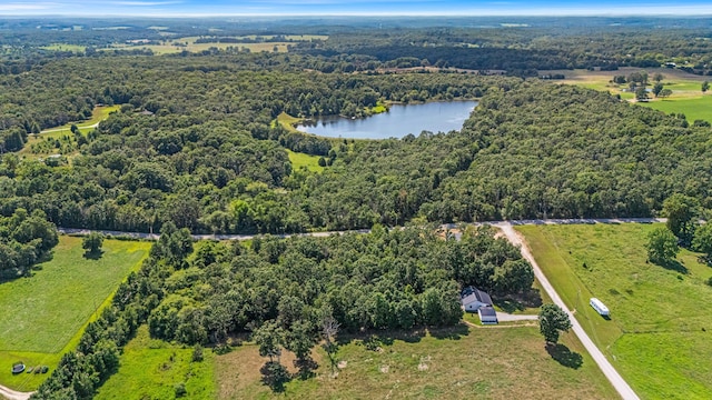 Tbd County Road 6310, West Plains, MO 65775 - photo 38