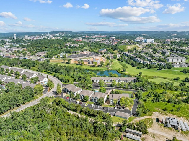 510 Spring Creek Ct Unit 6, Branson, MO 65616 - photo 40