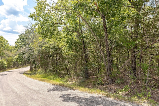 000 Persinger Rd, Cedarcreek, MO 65627 - photo 20