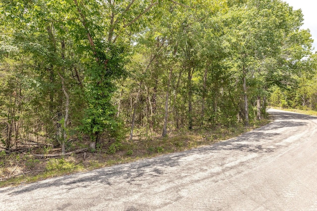 000 Persinger Rd, Cedarcreek, MO 65627 - photo 3