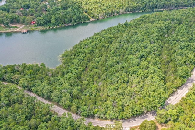 000 Persinger Rd, Cedarcreek, MO 65627 - photo 15