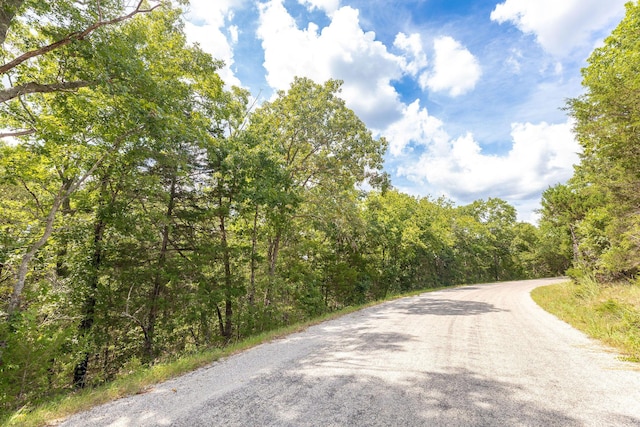 000 Persinger Rd, Cedarcreek, MO 65627 - photo 21