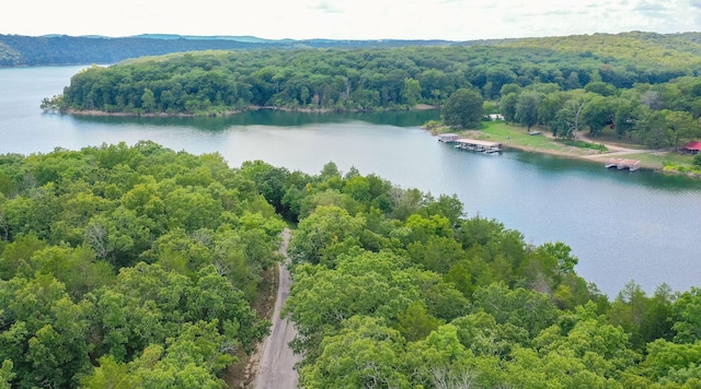 000 Persinger Rd, Cedarcreek, MO 65627 - photo 17