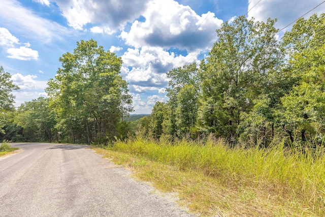 000 Persinger Rd, Cedarcreek, MO 65627 - photo 19