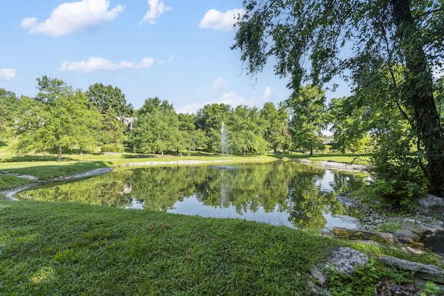 4815 S Landon Ct, Springfield, MO 65810 - photo 57