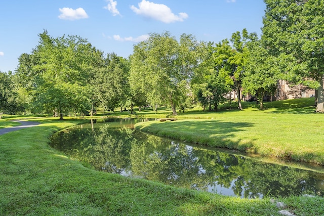 4815 S Landon Ct, Springfield, MO 65810 - photo 61