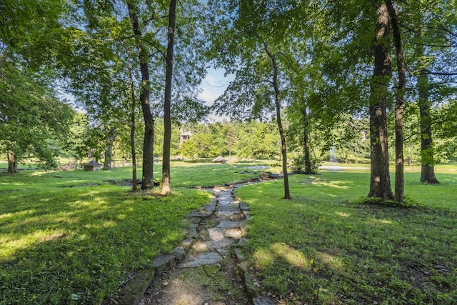 4815 S Landon Ct, Springfield, MO 65810 - photo 65