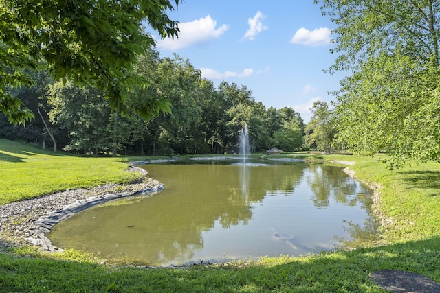 4815 S Landon Ct, Springfield, MO 65810 - photo 58