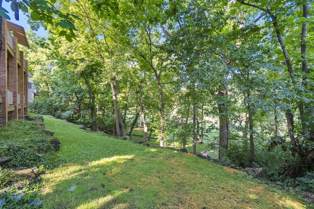 4815 S Landon Ct, Springfield, MO 65810 - photo 53