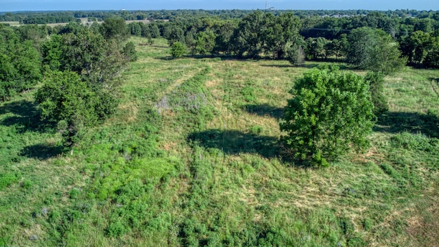 000 S State Highway Ff Rd, Brookline, MO 65619 - photo 2