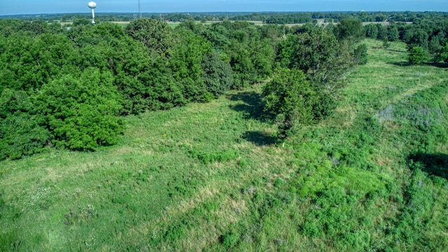 000 S State Highway Ff Rd, Brookline, MO 65619 - photo 3
