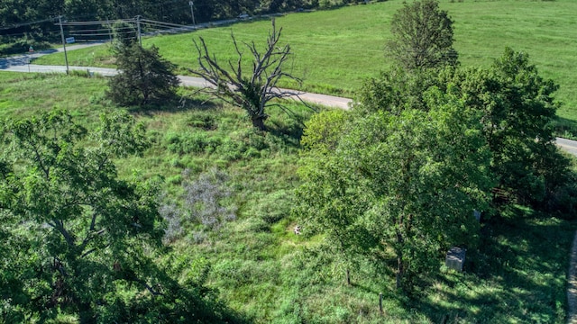 000 S State Highway Ff Rd, Brookline, MO 65619 - photo 5