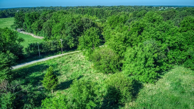 000 S State Highway Ff Rd, Brookline, MO 65619 - photo 4