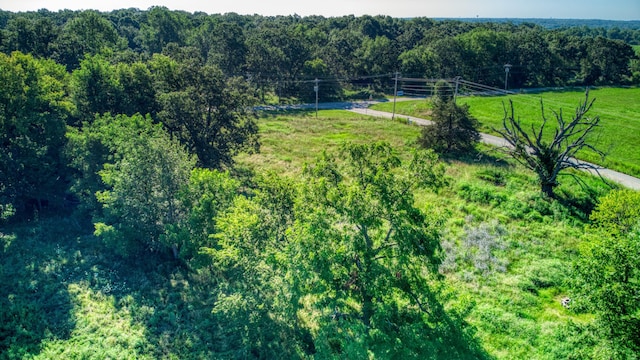 000 S State Highway Ff Rd, Brookline, MO 65619 - photo 6