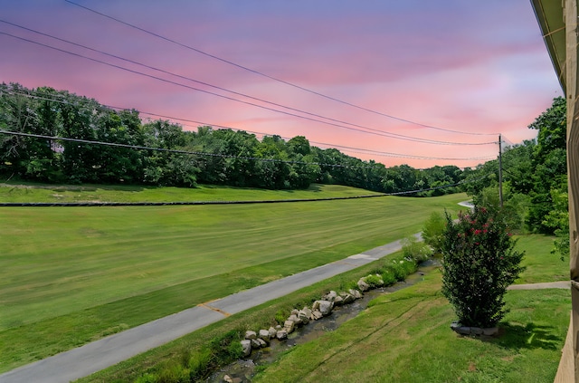 230 Turnberry Dr Unit 1, Branson, MO 65616 - photo 4