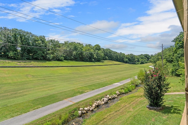 230 Turnberry Dr Unit 1, Branson, MO 65616 - photo 48