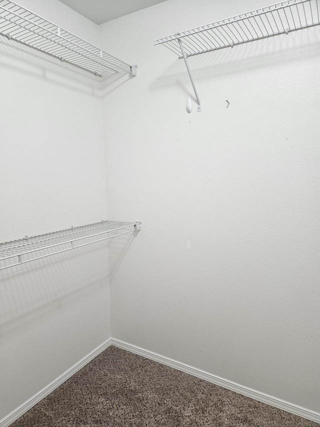 393 W Grace St, Republic, MO 65738 - photo 13