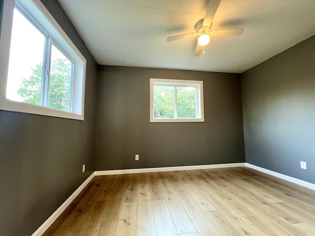 714 W Woodbine Rd, Ash Grove, MO 65604 - photo 12