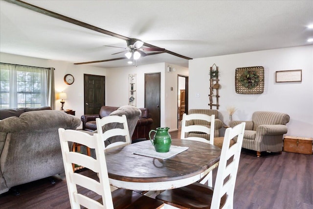 363 Santa Fe Rd, Rogersville, MO 65742 - photo 12