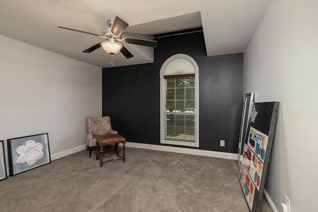 4402 N Willow Rd, Ozark, MO 65721 - photo 30