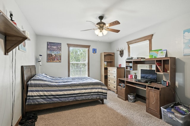 2433 Jonathan St, Carthage, MO 64836 - photo 27