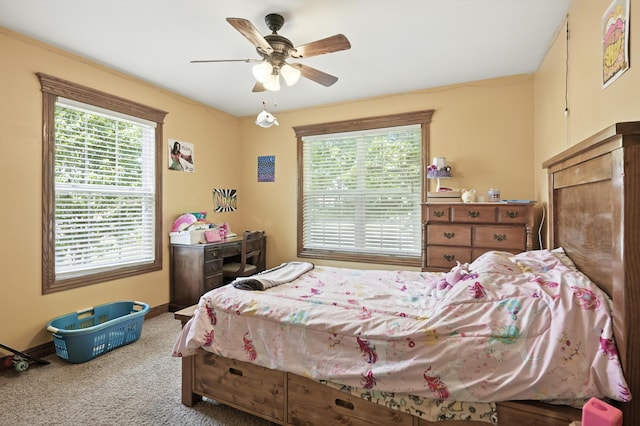 2433 Jonathan St, Carthage, MO 64836 - photo 32