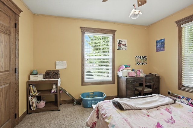 2433 Jonathan St, Carthage, MO 64836 - photo 33